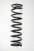 SPIDAN 48845 Coil Spring